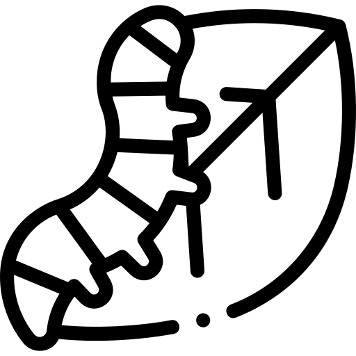 Chenille Icon